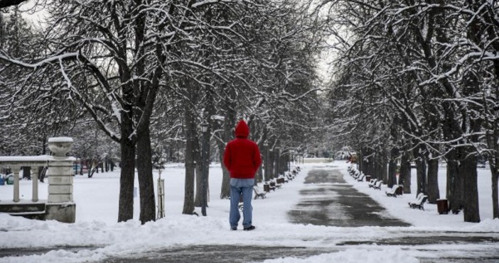 Снимка БулфотоПрез тази година се очаква средната месечна температура през февруари у