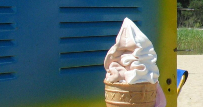 Снимка БулфотоОценител на сладолед е мечтаната професия за мнозина а
