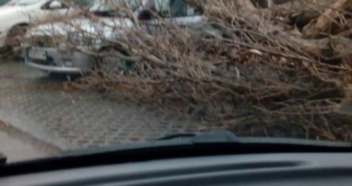 За щастие при инцидента няма пострадалиОжесточена буря в Добрич успя