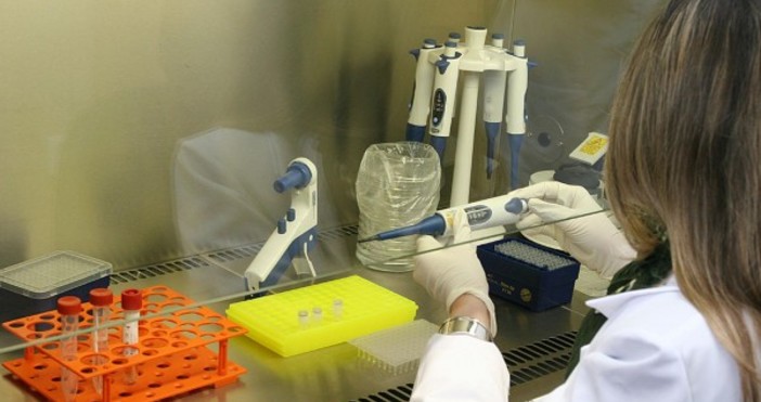 Снимка БулфотоГрип и вирусни инфекции глътнаха почти 1 млн болнични преди