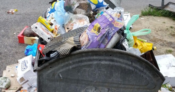 Снимка Булфото8 годишният Пламен Тачев от Сливен събира отпадъци за да дарява