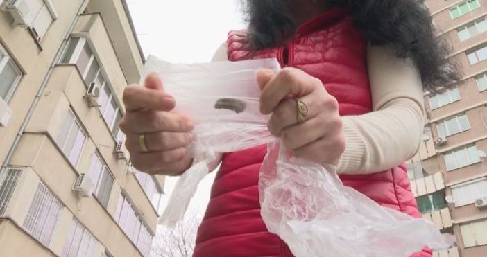 Кадър bTVСмъртоносна отрова на детска площадка в Сливен Неизвестен засега