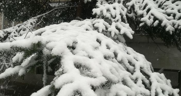 Сняг вали на вр Снежанка информират от Планинската спасителна служба