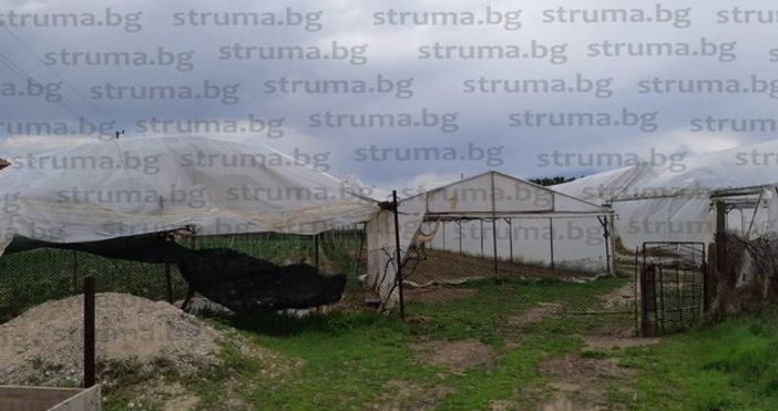 Вихрушка повреди десетки оранжерии за ранни зеленчуци в санданското село