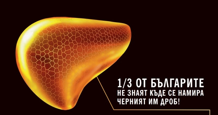 Всеки 5 ти българин има най обща информация относно черния си дроб