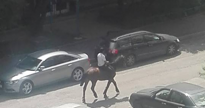 Снимки Фейсбук група Видяно в София В София всеки се предвижва