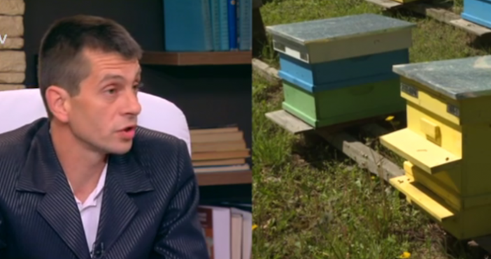 Кадър БТВКомпенсации за собствениците на отровените пчели ще има чрез механизъм за