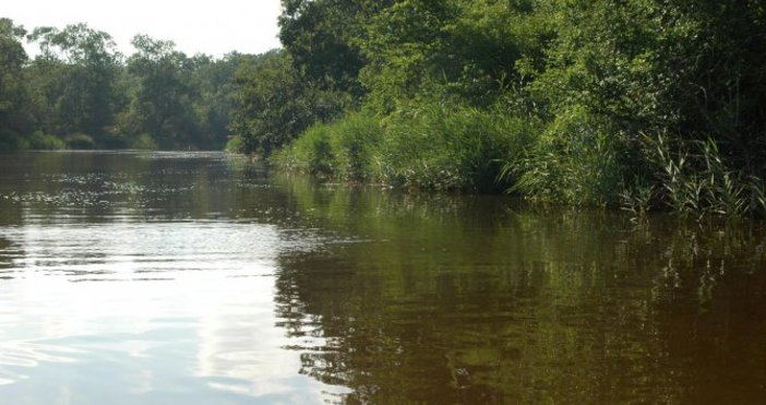 Снимка Булфото архивВодните количества на реките в Западнобеломорския басейн са
