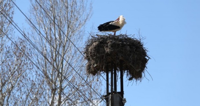 Снимка БулфотоПреди обяд в петък валежите временно ще спрат и облачността за