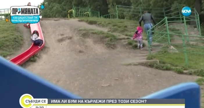 Нова твПричината са валежите и високите температури през зиматаБум на