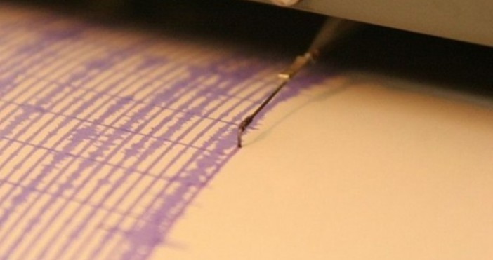 Снимка БулфотоЗеметресение с магнитуд 2 1 по скалата на Рихтер е