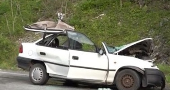 Кадър БТВПочинало е 9 годишното момиче пострадало при жестоката катастрофа в