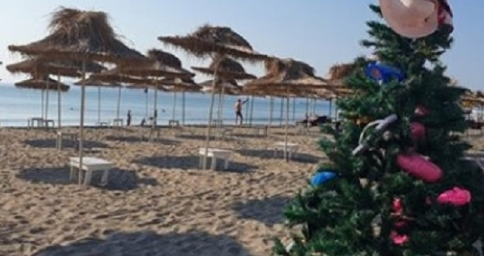 Снимка на празен плаж и украсена елха на пясъка шокира