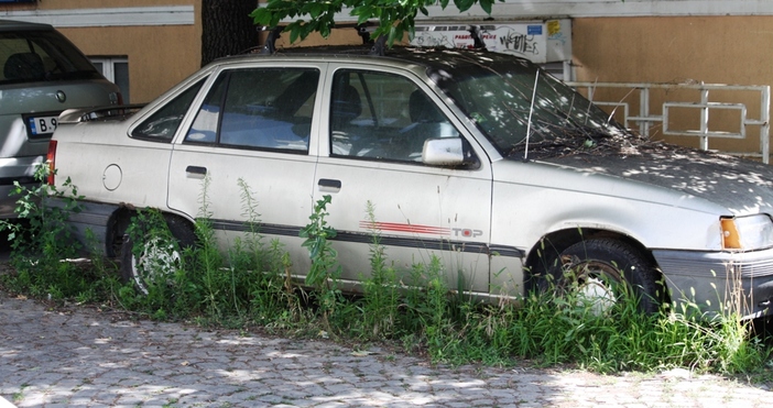 От миналата година Община Варна започна кампания за разчистването на