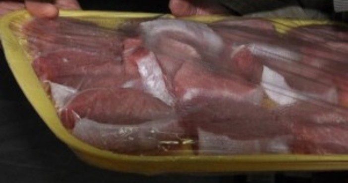 България днес170 кг заразено с африканска чума месо са хванати
