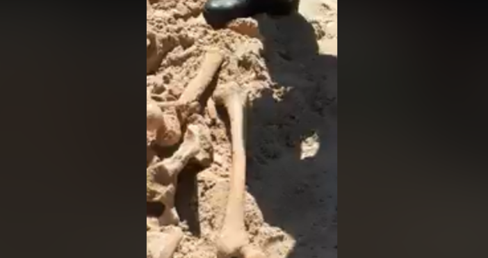 Кадър Росен ИвановДеца откриха кости на плаж Атлиман в Китен