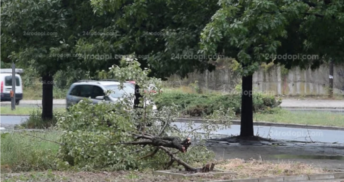 Източник и видео: 24rodopi.comСтрашна буря се развихри над Кърджали. Силен