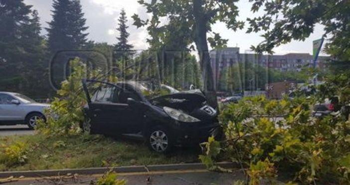 Кадри Флагман бгЧерно Пежо 207 се заби в дърво на бул