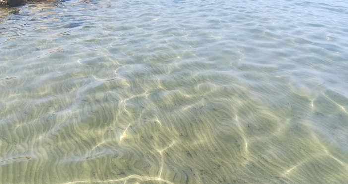 Пътуванията на български граждани в чужбина през юни 2019 г