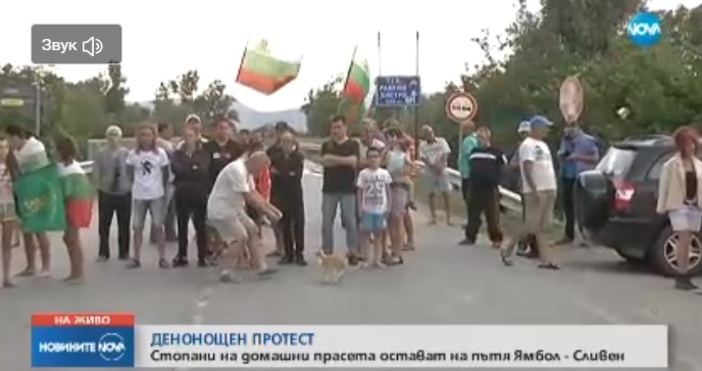 Свиневъди организираха денонощна блокада на пътя Ямбол - Сливен. Собственици