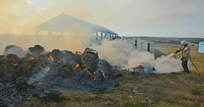 Снимка БулфотоПожар превърна в пепел 1000 бали, складирани до земеделско