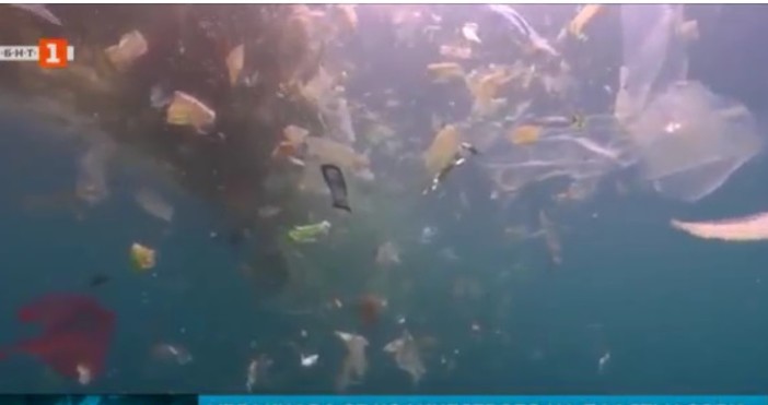 БНТУвеличава се количеството на пластмасови отпадъци в Черно море Това