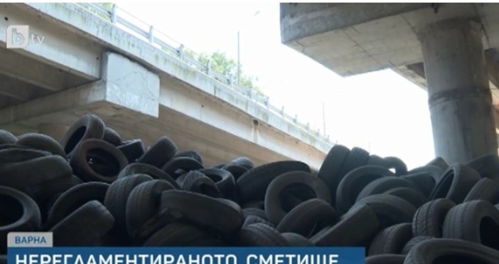 Агенция ФокусРазмерът на средствата за почистването на боклуцитe под мостове