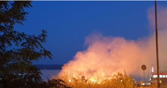 Източник и снимки БулфотоОбширна площ суха трева се запали в