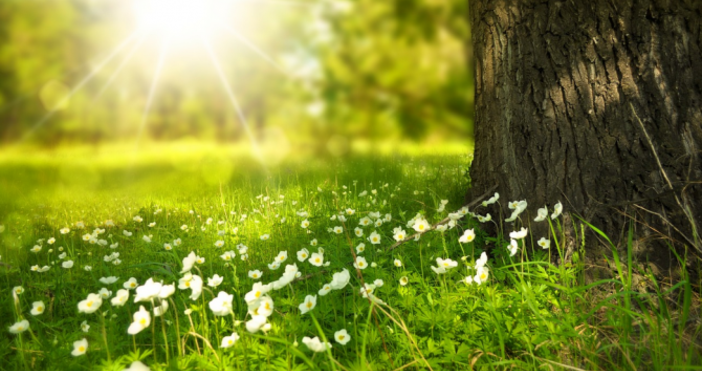 Снимка  Pixabay архив Времето днес отново ще е слънчево Ще духа слаб в Източна