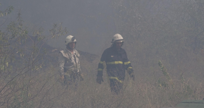 Снимка: БулфотоОбразувано е досъдебно производство за пожара в парк Борова гора