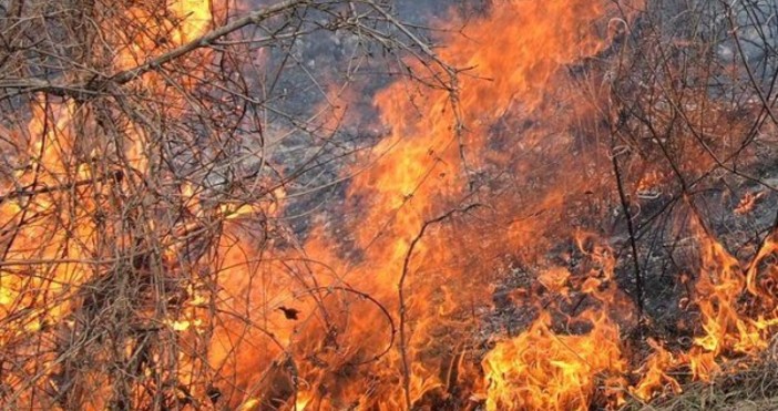 Пожарникари лесничеи и доброволци гасят пожар в горски масив над