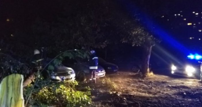 Снимка Dnes bgДърво падна и затисна 3 коли в столичния квартал