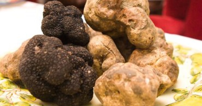 4 пространствени кубически метра дърва за огрев задържа през седмицата