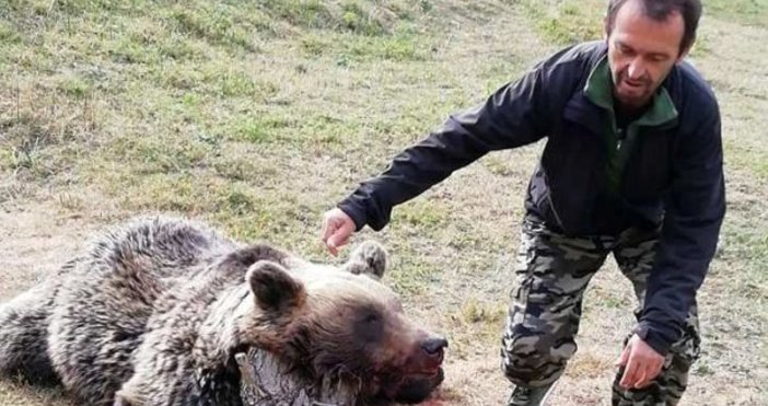 Убиха мечка в смолянското село Кожари и се снимаха с