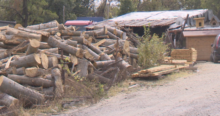Арести на природозащитници в Лондон Превантивно полицията задържа членове на