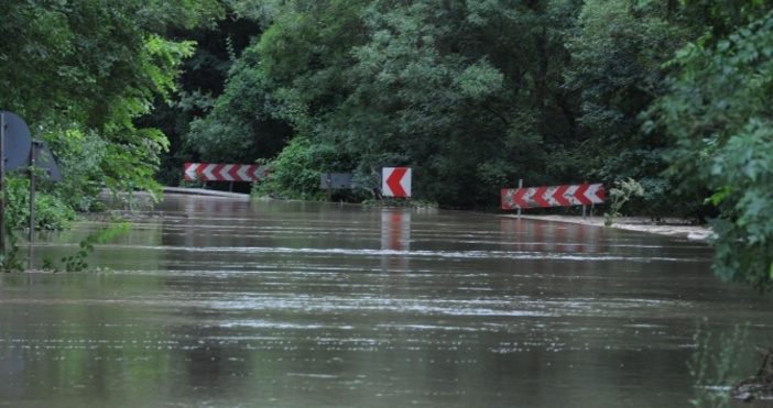 Снимка БулфотоМъртва риба изплува от река Струма в района на