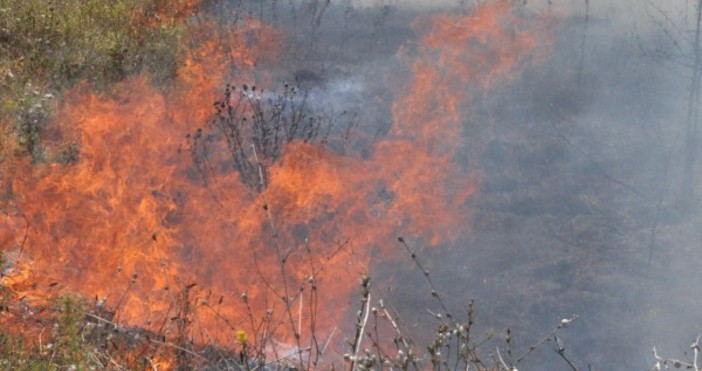 Снимка Булфото, архивПродължава гасенето на горския пожар на територията на