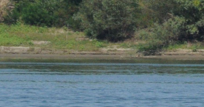 Ново понижение в нивото на Дунав усложни навигационната обстановка в