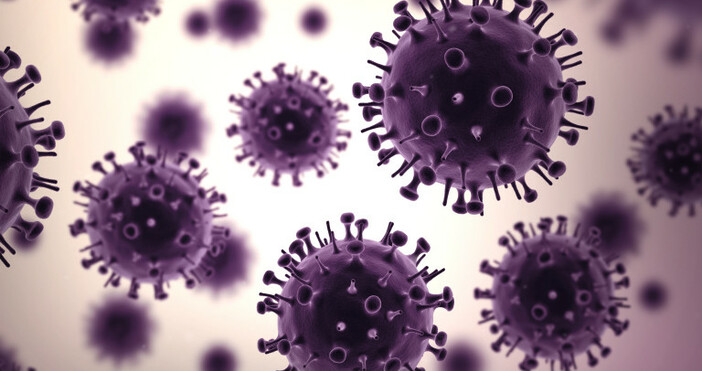 Снимка iStockВ София са регистрирани още няколко нови случая на