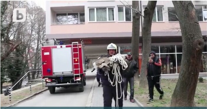 Благодарение на бързата реакция на пожарникари от Благоевград беше спасена