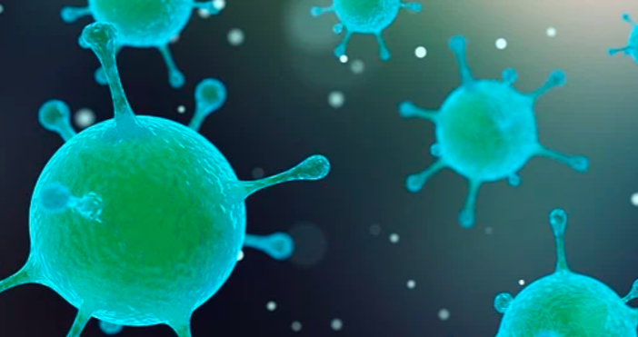 Снимка pixabayЕпидемията от новия коронавирус ще се самоограничи, така както