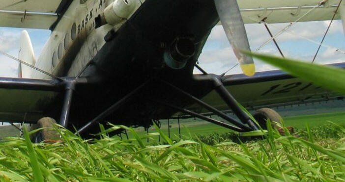 Снимка Булфото архивМалък самолет е паднал в гора при опит за кацане