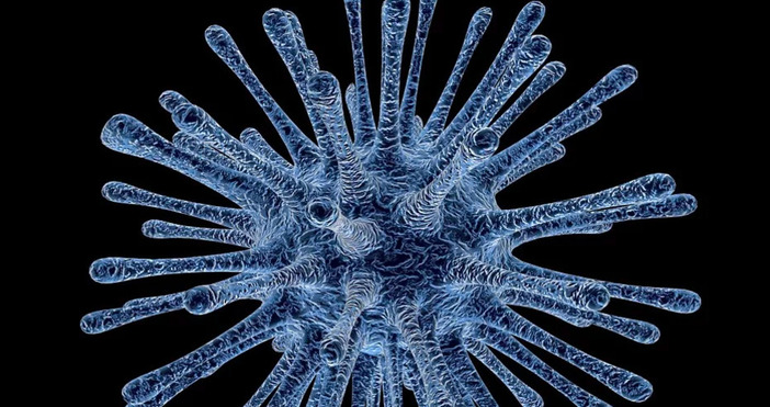 Първи случай на заразен с новия коронавирус бе потвърден в