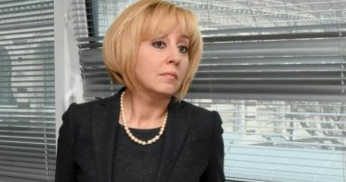 Председателят на Гражданската платформа Изправи се БГ Мая Манолова ще