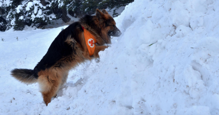 Снимка Булфото архивОткриха мъж бил в неизвестност от три дни