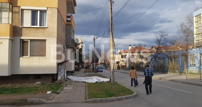 Снимки БулнюзСилният вятър, който вилня през последното денонощие във Враца