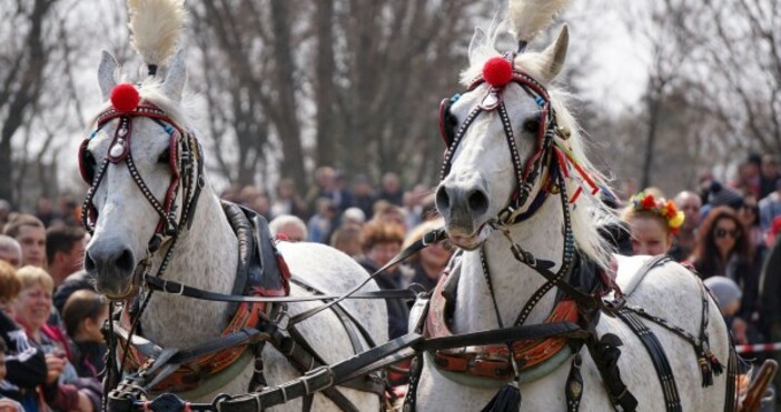 Имен ден празнуват Божидар Божидара Дора Дорина Доротея Теодор