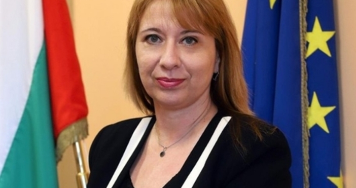 Снимка ДАЗДД р Елеонора Лилова председател на Държавната агенция за закрила на