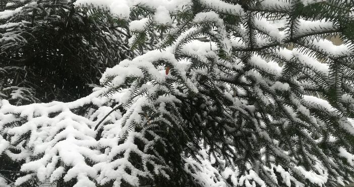 Максималните температури днес съществено ще се понижат и в северната