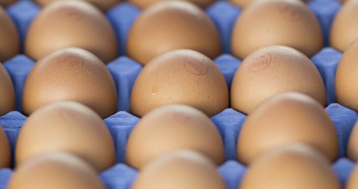 Незаконен внос на 324 хиляди яйца от България са установили